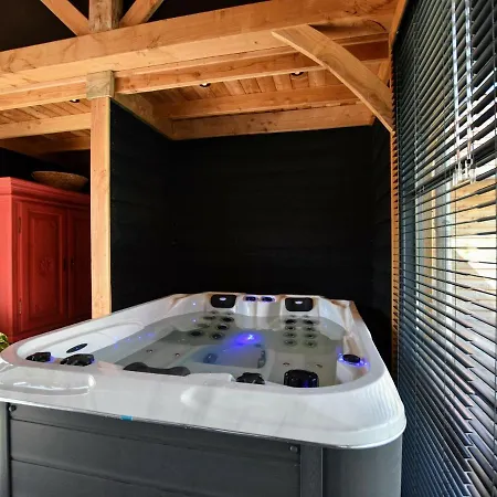 Vakantiehuis Spacious In With Pool *